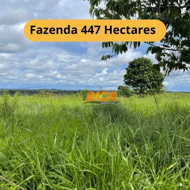 Foto 1 de Fazenda/Sítio à venda, 4470000m² em , Candeias do Jamari