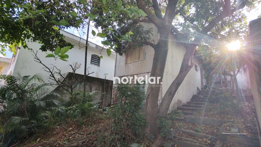 Foto 1 de Lote/Terreno à venda, 290m² em Parque São Domingos, São Paulo