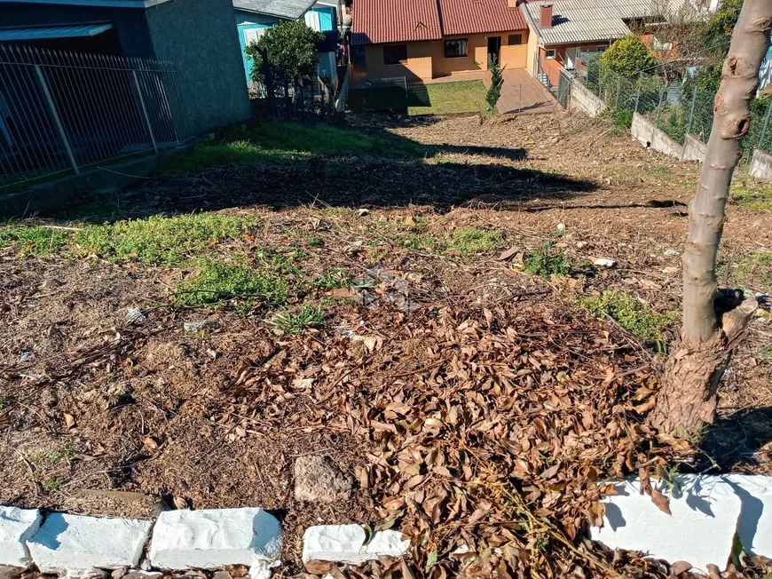 Foto 1 de Lote/Terreno à venda, 350m² em Nova Vicenza, Farroupilha