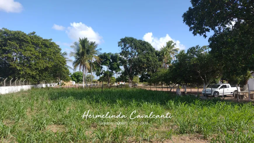 Foto 1 de Fazenda/Sítio com 4 Quartos à venda, 20000m² em Mangabeira, Macaíba