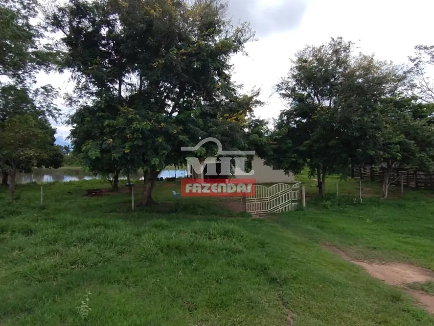 Foto 1 de Fazenda/Sítio à venda, 314600m² em Area Rural de Goianesia, Goianésia