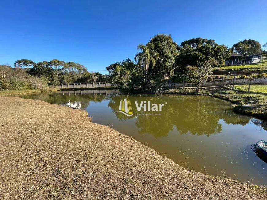 Foto 1 de Fazenda/Sítio com 5 Quartos à venda, 350m² em Planta Meireles, Piraquara