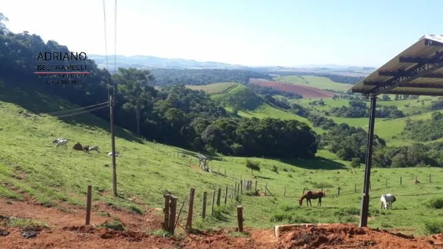 Foto 1 de Fazenda/Sítio com 3 Quartos à venda, 266200m² em Passa Tres, Tuiuti