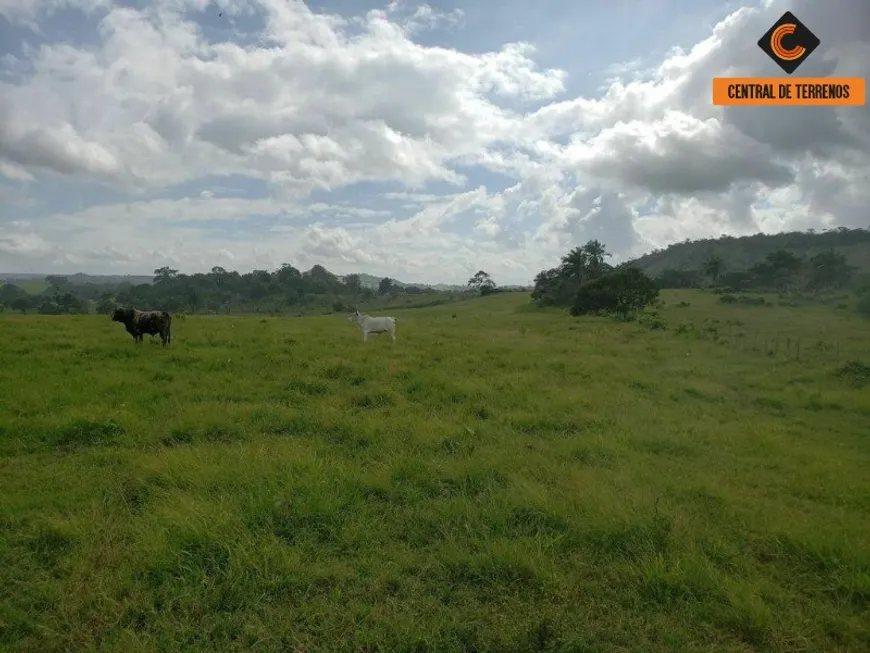 Foto 1 de Fazenda/Sítio com 3 Quartos à venda, 784080m² em Centro, São Sebastião do Passé