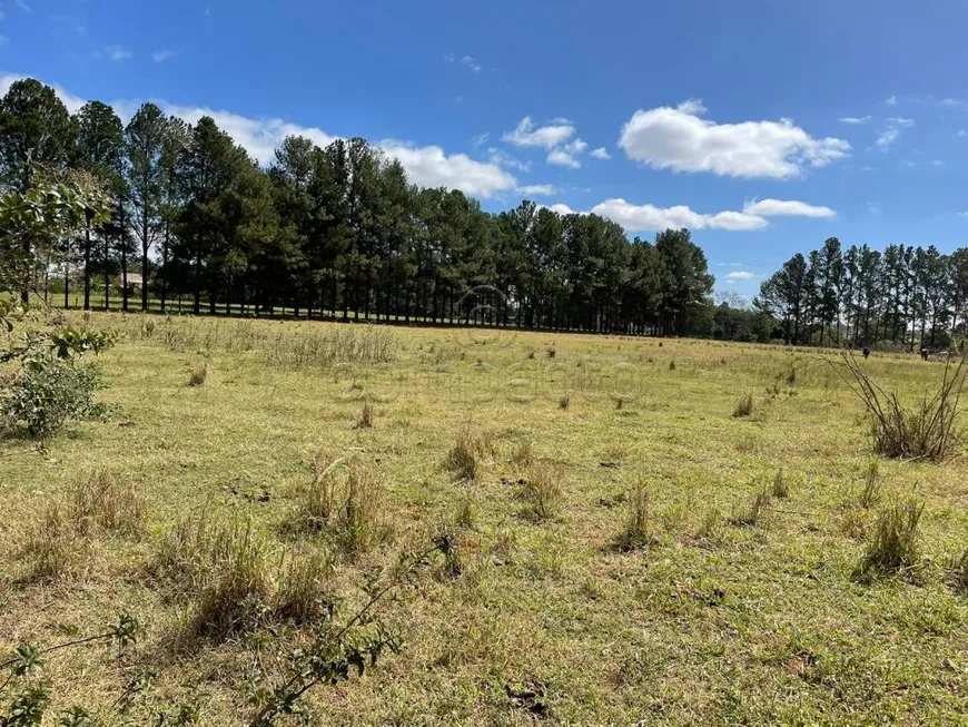 Foto 1 de Lote/Terreno para alugar, 21000m² em Vila Azul Zona Rural, São José do Rio Preto