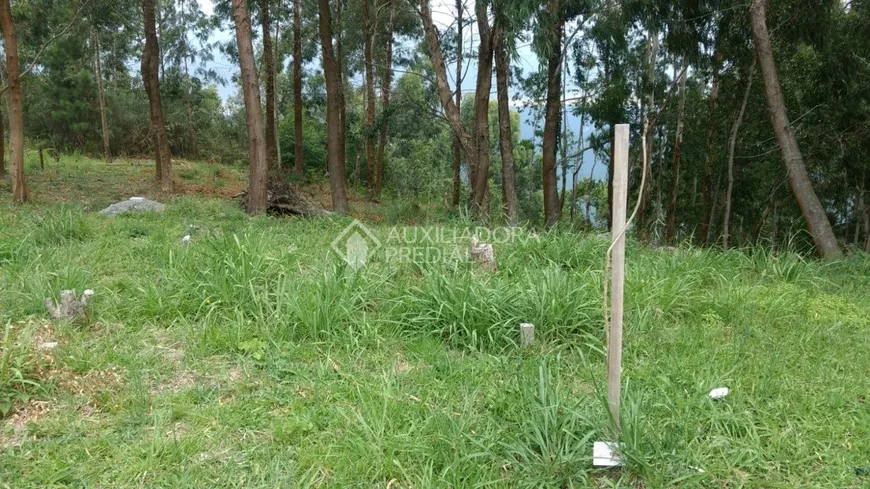 Foto 1 de Lote/Terreno à venda, 257m² em Vila Dante, Canela