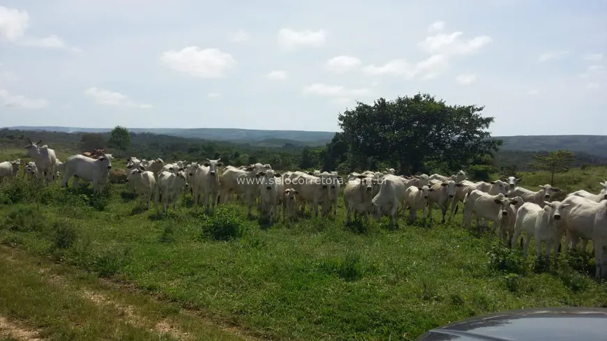 Foto 1 de Fazenda/Sítio com 1 Quarto à venda, 12000000m² em Zona Rural, Nova Brasilândia