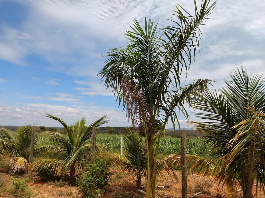 Foto 1 de Fazenda/Sítio à venda, 20000m² em Zona Rural, Jaboticatubas