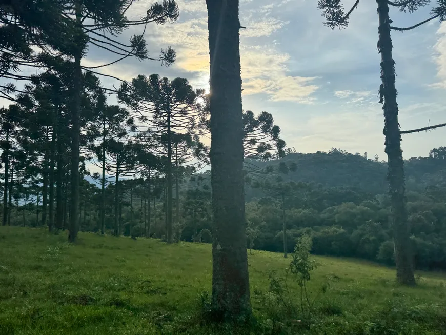 Foto 1 de Fazenda/Sítio à venda, 146000m² em , Rio Rufino