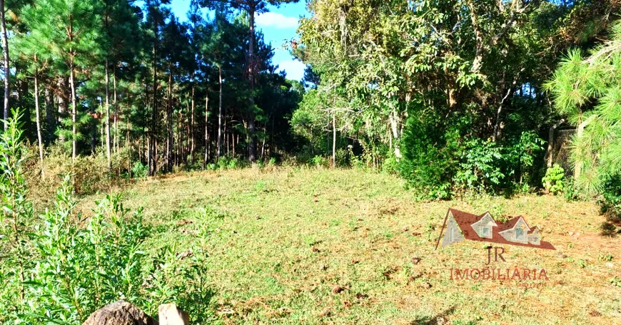 Foto 1 de Fazenda/Sítio com 1 Quarto à venda, 6000m² em Colônia Malhada, São José dos Pinhais
