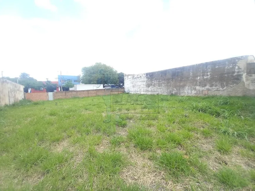 Foto 1 de Lote/Terreno para alugar, 650m² em Vila Mariana, Ribeirão Preto