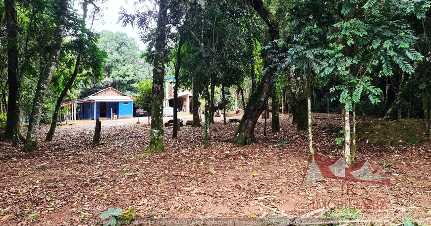 Foto 1 de Fazenda/Sítio com 1 Quarto à venda, 5000m² em Faxina, São José dos Pinhais