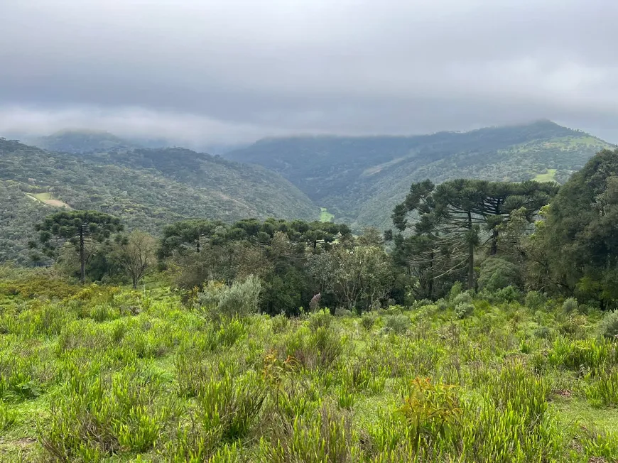 Foto 1 de Fazenda/Sítio à venda, 20000m² em , Urubici