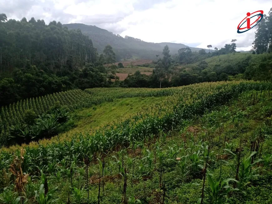 Foto 1 de Fazenda/Sítio à venda, 46619m² em Centro, Presidente Nereu