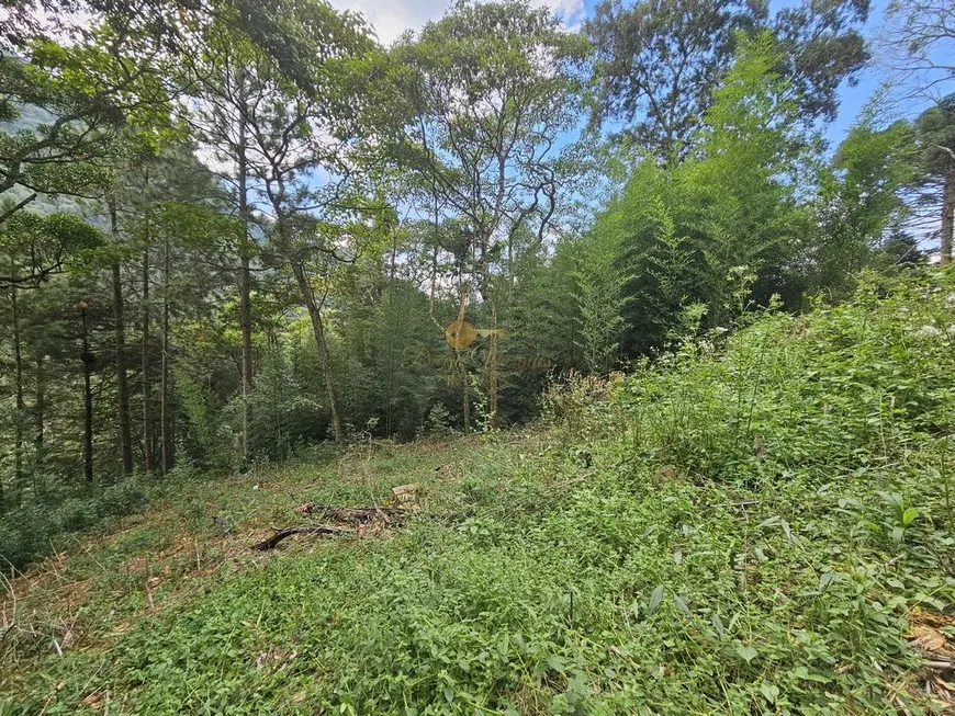 Foto 1 de Lote/Terreno à venda, 670m² em Cascata dos Amores, Teresópolis