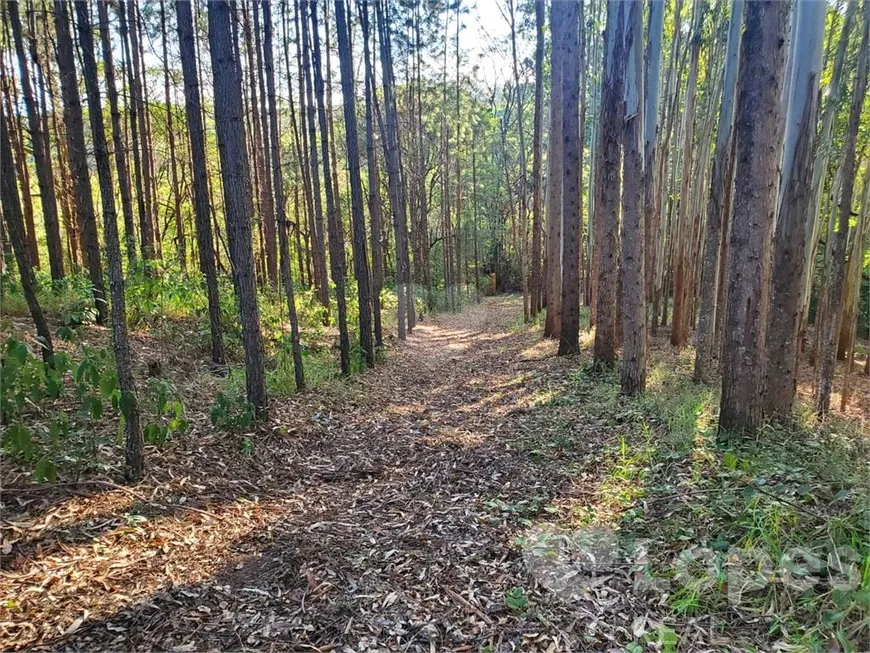 Foto 1 de Fazenda/Sítio com 6 Quartos à venda, 400m² em Condominio Jardim das Palmeiras, Bragança Paulista