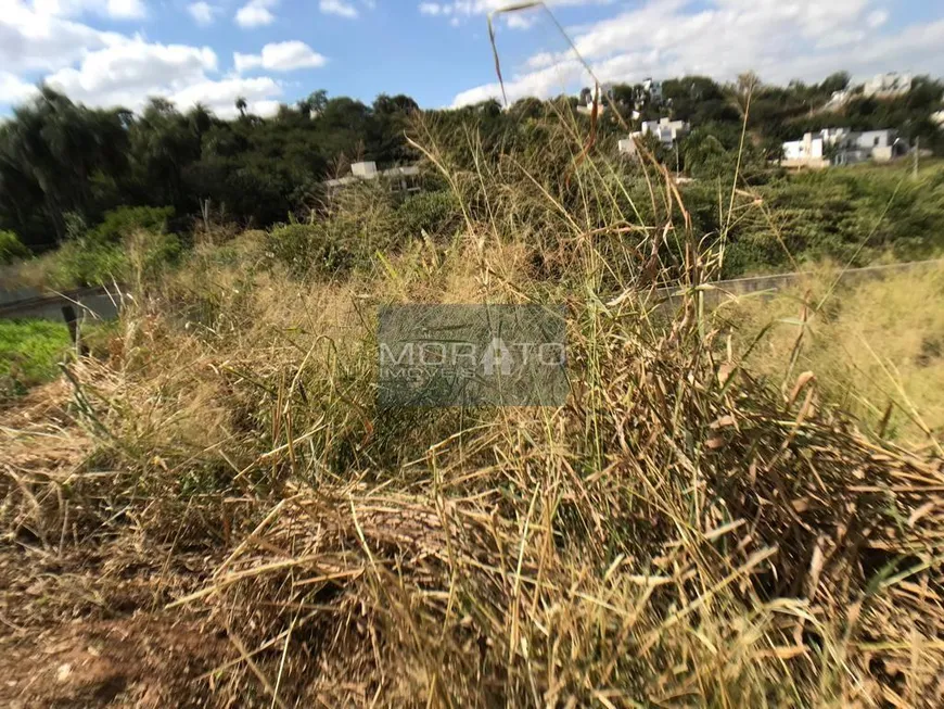 Foto 1 de Lote/Terreno à venda, 360m² em Cabral, Contagem