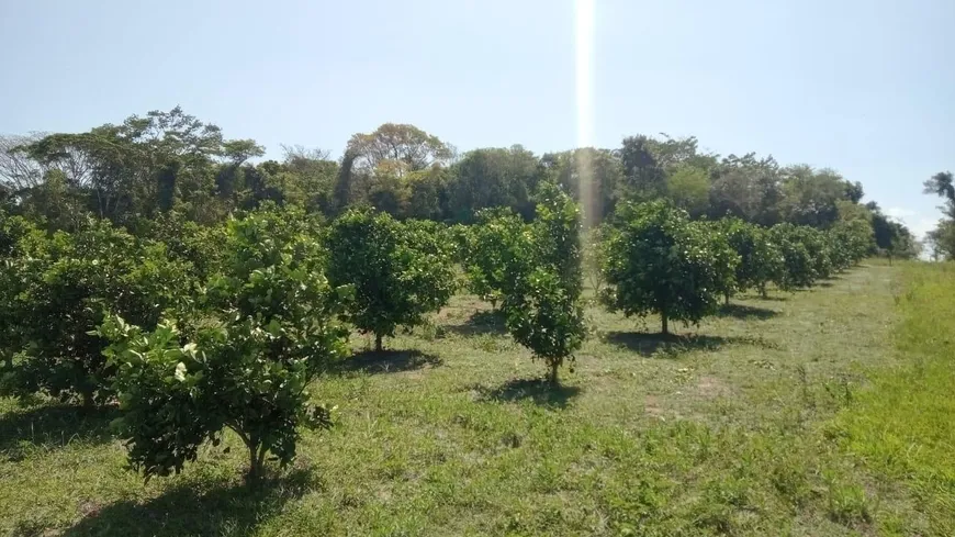 Foto 1 de Fazenda/Sítio com 2 Quartos à venda, 480000m² em São Vicente de Paula, Araruama