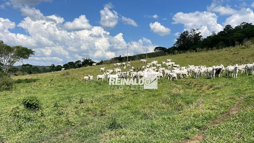 Foto 1 de Fazenda/Sítio com 1 Quarto à venda, 675000m² em Bairro da Posse, Itatiba