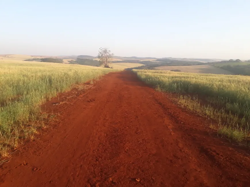 Foto 1 de Fazenda/Sítio com 2 Quartos para alugar, 100m² em Centro, Brasilândia do Sul