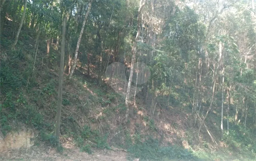 Foto 1 de Lote/Terreno à venda, 3758m² em Serra da Cantareira, Mairiporã