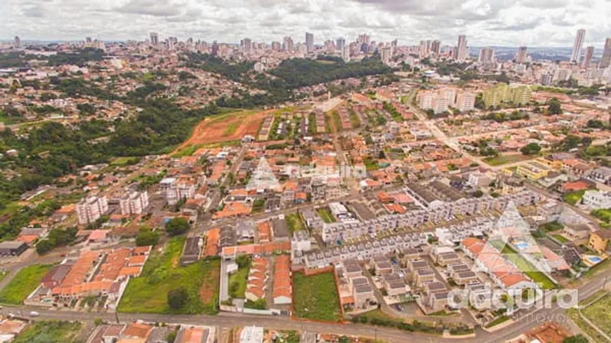 Foto 1 de Lote/Terreno à venda, 10m² em Estrela, Ponta Grossa