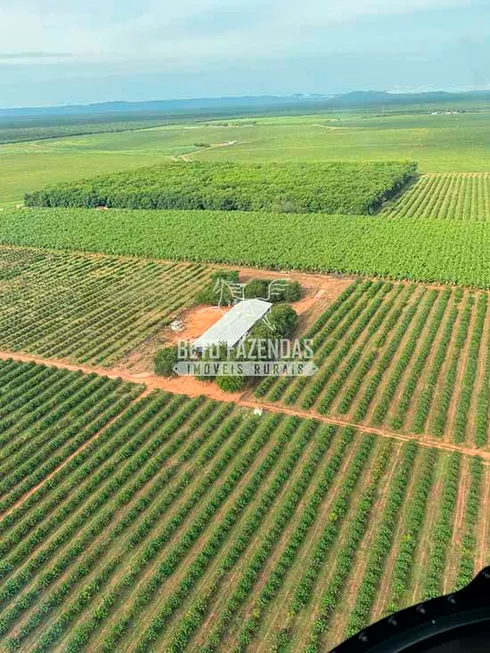 Foto 1 de Fazenda/Sítio à venda, 35000000m² em Zona Rural, Manga