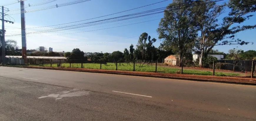 Foto 1 de Lote/Terreno para alugar, 3000m² em Jardim Burle Marx, Londrina