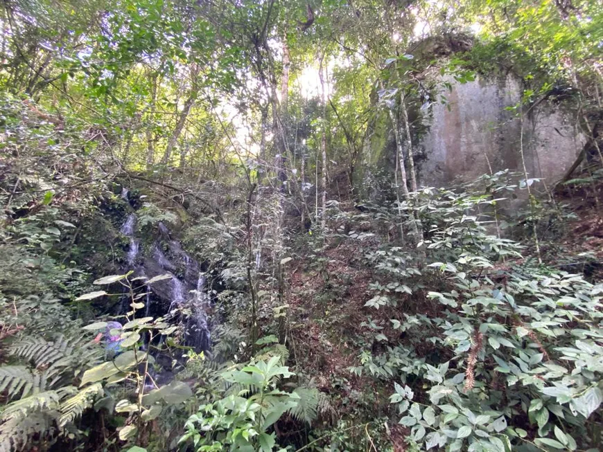 Foto 1 de Fazenda/Sítio com 3 Quartos à venda, 216000m² em Zona Rural, Delfim Moreira