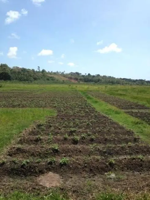 Foto 1 de Fazenda/Sítio com 3 Quartos à venda, 25000m² em Centro, Ceará Mirim