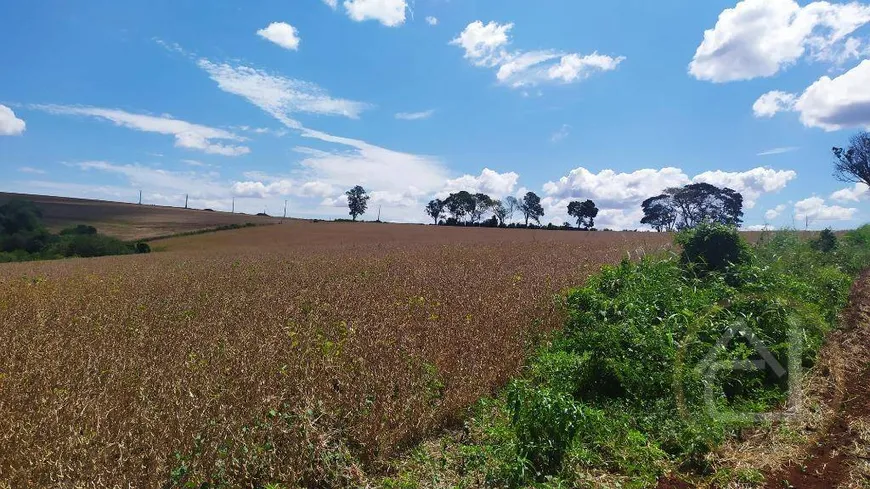 Foto 1 de Fazenda/Sítio à venda, 242000m² em Jardim Primavera, Londrina