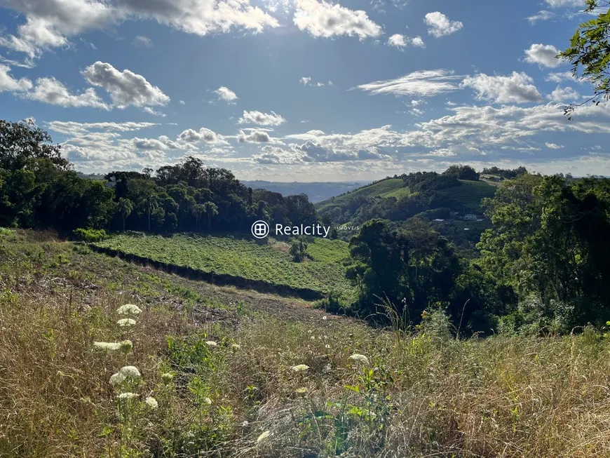 Foto 1 de Lote/Terreno à venda, 140000m² em Sao Valentin, Bento Gonçalves