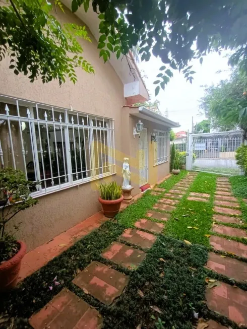 Foto 1 de Casa com 3 Quartos à venda, 170m² em Alto da Lapa, São Paulo