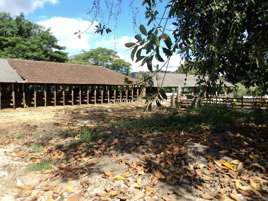 Foto 1 de Fazenda/Sítio com 6 Quartos à venda, 328m² em Taruacu, São João Nepomuceno