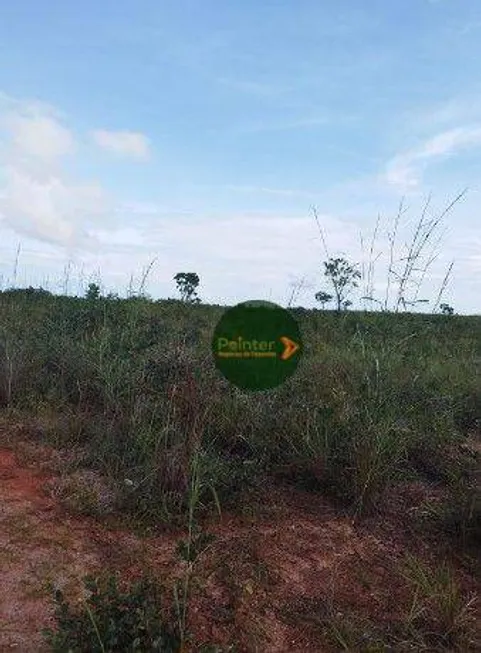 Foto 1 de Fazenda/Sítio à venda, 60984m² em Zona Rural, Dianópolis