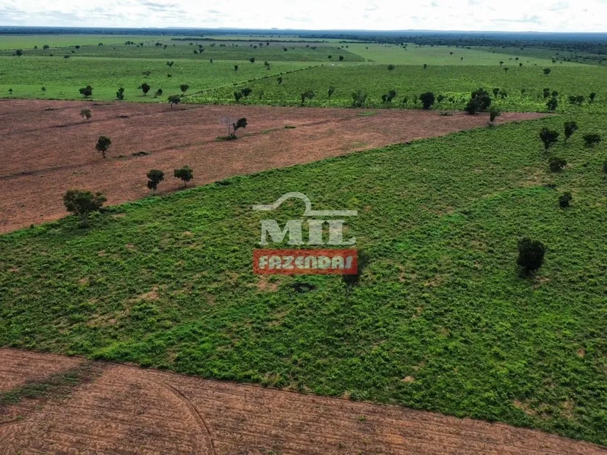 Foto 1 de Fazenda/Sítio à venda, 1650m² em Zona Rural, Ribeirão Cascalheira