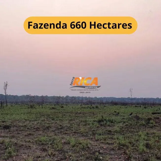 Foto 1 de Fazenda/Sítio à venda, 6600000m² em , Humaitá