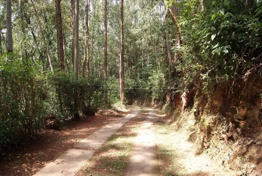 Foto 1 de Fazenda/Sítio com 3 Quartos à venda, 200m² em Santa Clara, Jundiaí