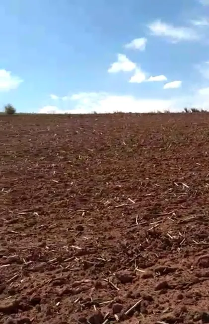 Foto 1 de Fazenda/Sítio com 1 Quarto à venda, 1m² em Area Rural de Itapira, Itapira