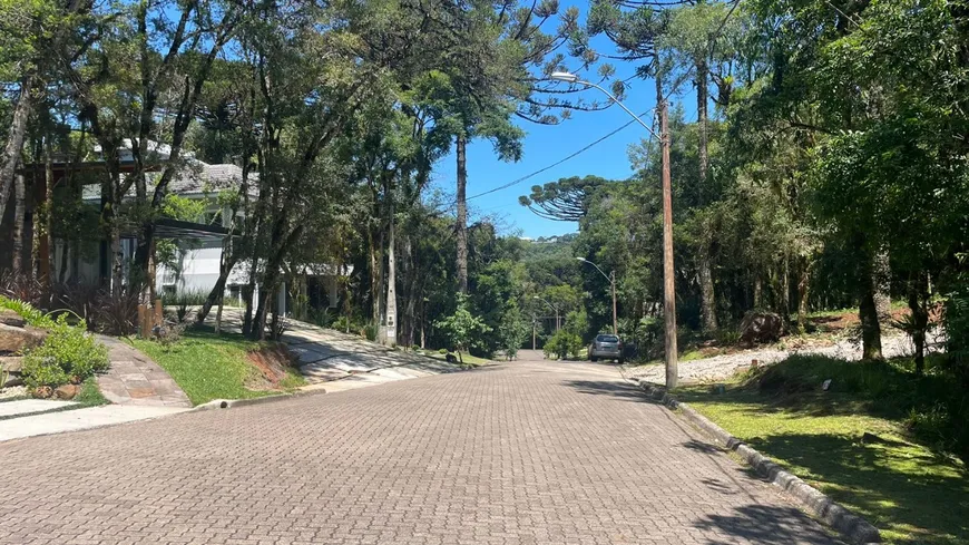 Foto 1 de Lote/Terreno à venda, 744m² em Pinheiro Grosso, Canela