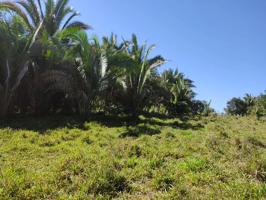 Foto 1 de Fazenda/Sítio à venda em Centro, Ribeirãozinho