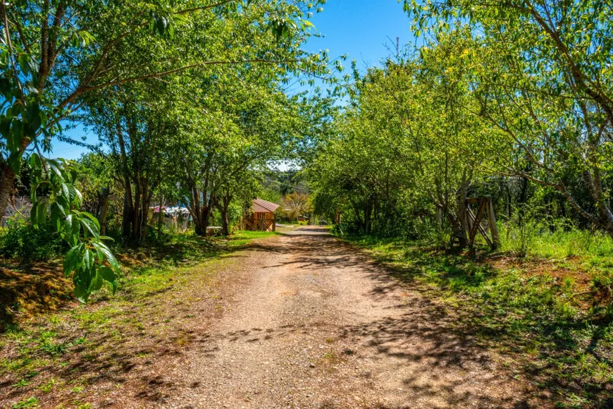 Foto 1 de Fazenda/Sítio com 4 Quartos à venda, 72400m² em Vila David Antonio, Campo Largo