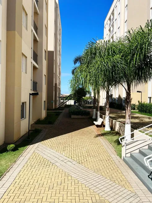 Foto 1 de Apartamento com 3 Quartos à venda, 67m² em Condominio Residencial Viva Vista, Sumaré