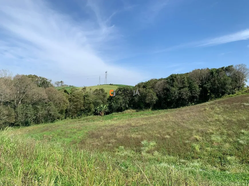 Foto 1 de Fazenda/Sítio com 1 Quarto à venda, 50000m² em Colonia Dom Pedro II, Campo Largo