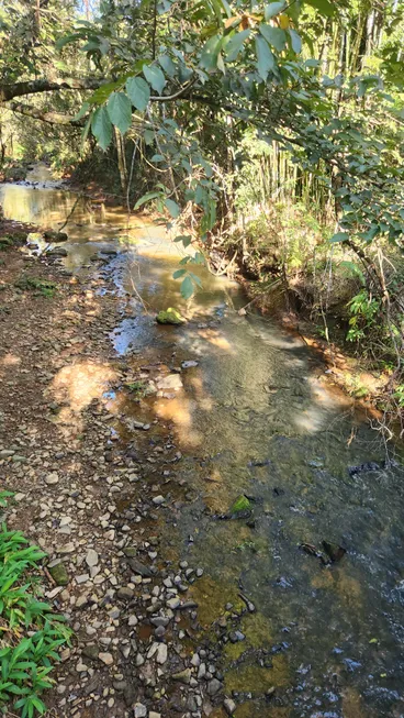 Foto 1 de Fazenda/Sítio com 3 Quartos à venda, 200m² em Olimpio Moreira, Itaúna