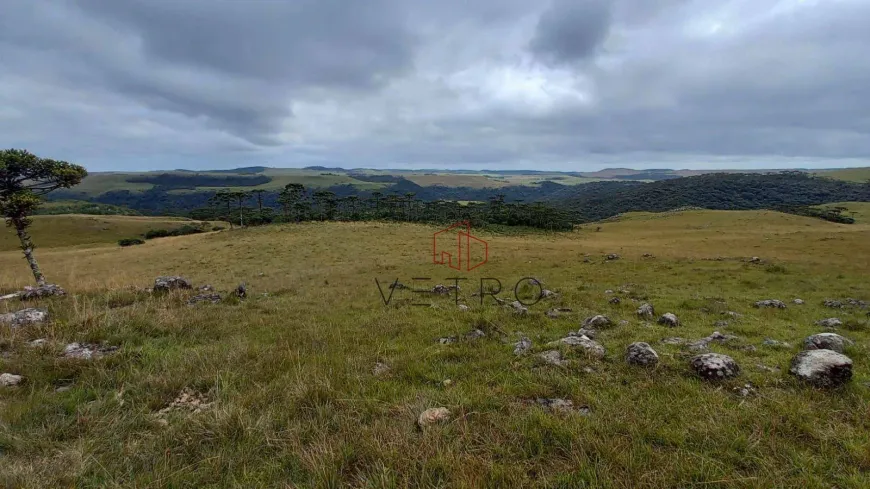 Foto 1 de Fazenda/Sítio à venda, 3590000m² em , São José dos Ausentes