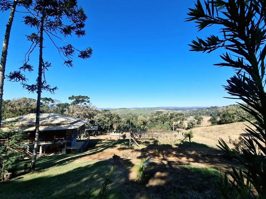 Foto 1 de Fazenda/Sítio com 4 Quartos à venda, 15000m² em Centro, Campo Alegre