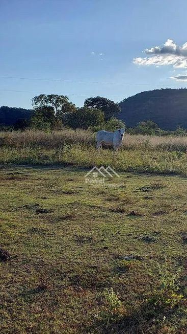 Foto 1 de Fazenda/Sítio com 3 Quartos à venda, 200m² em Zona Rural, Minaçu