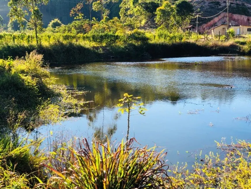 Foto 1 de Fazenda/Sítio com 3 Quartos à venda, 330000m² em Centro, Antônio Dias