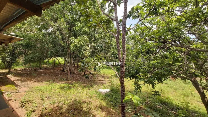 Foto 1 de Fazenda/Sítio à venda, 380m² em Zona Rural, Aragoiânia